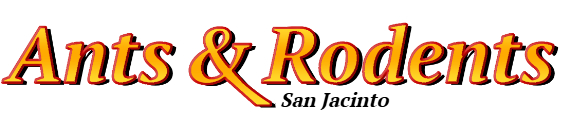 San Jacinto Ant Exterminator & Rodent Control Company Logo